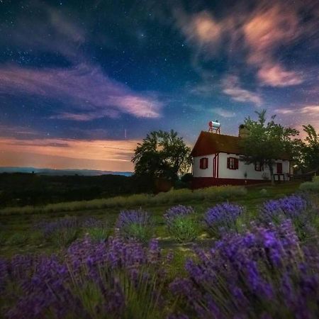 Lavanda Carasova Crasova Exterior foto