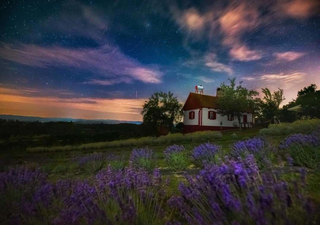 Lavanda Carasova Crasova Exterior foto