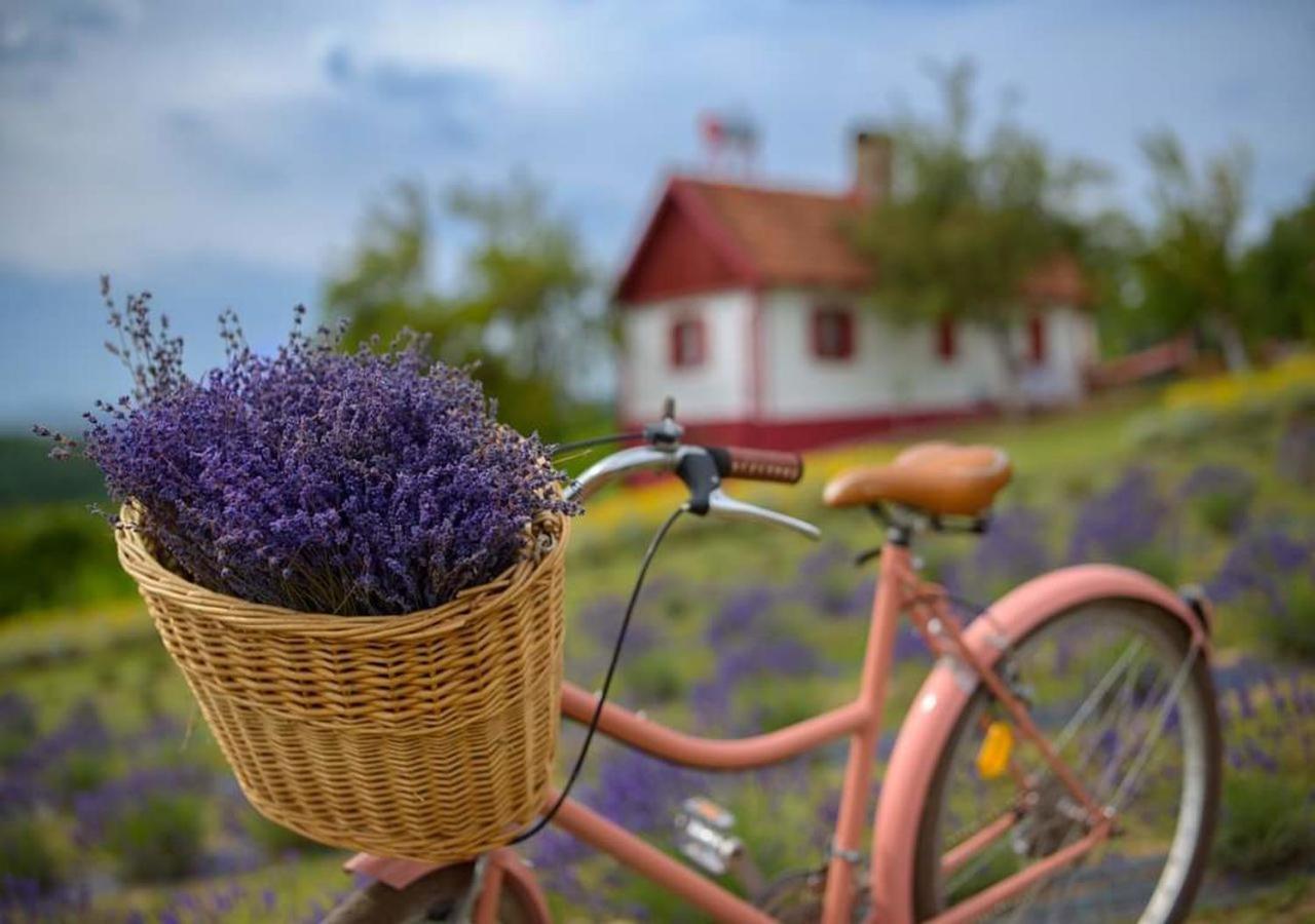 Lavanda Carasova Crasova Exterior foto
